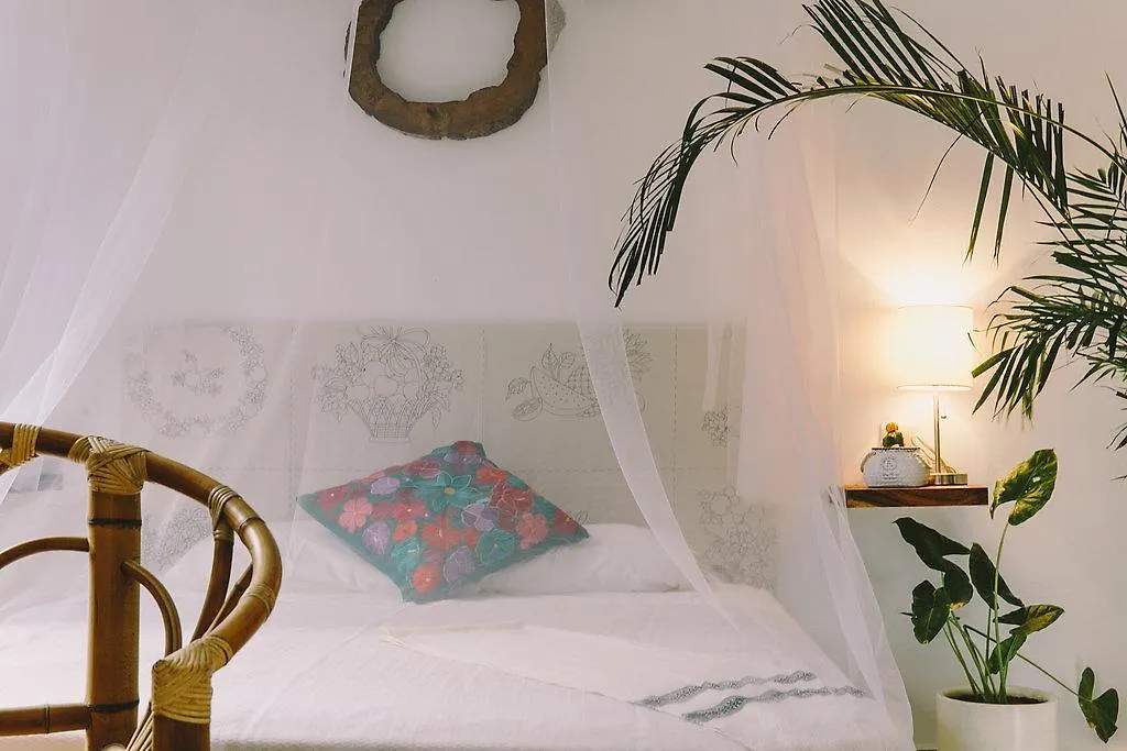 Destino Eco-Chic Boutique Hotel Akumal 3*,  Mexico